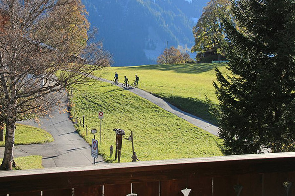 Ferienwohnung Grindelwald: Chalet Bodmisunne Berner Oberland
