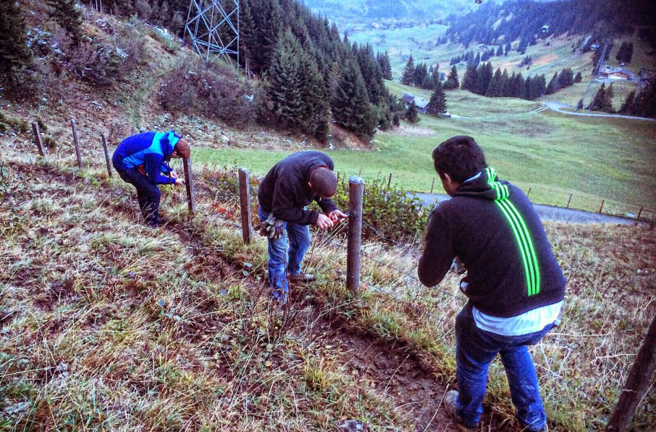 Hotel Grindelwald Tagwann Alphag Kreuz & Post