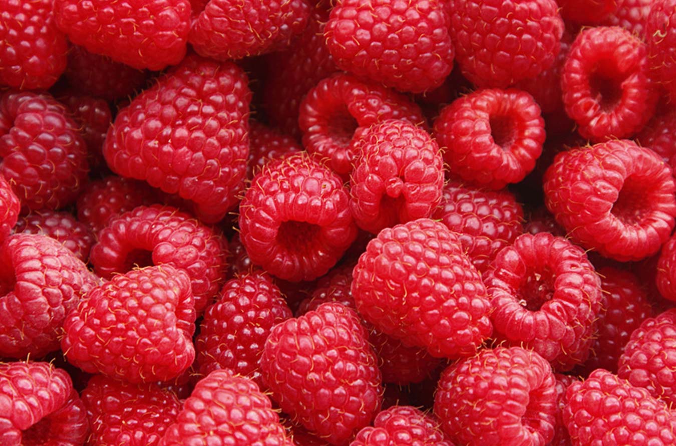 Frische Himbeeren - Hotel Kreuz & Post, Grindelwald