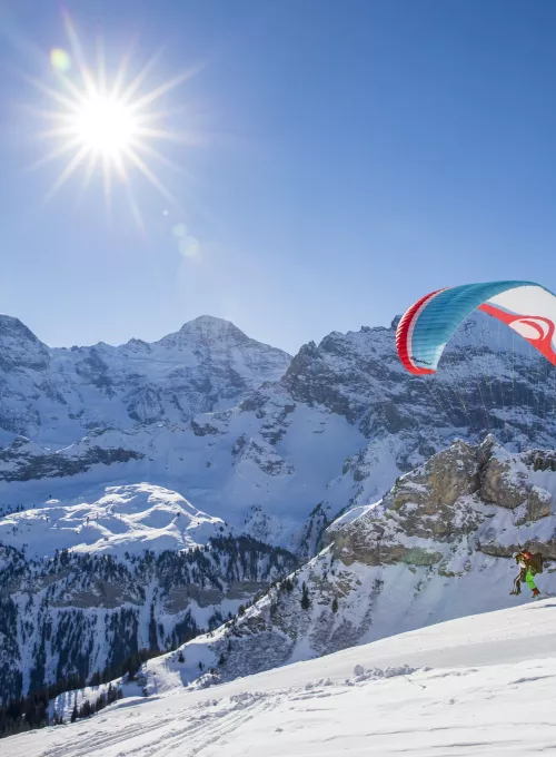 Paragliding Mürren