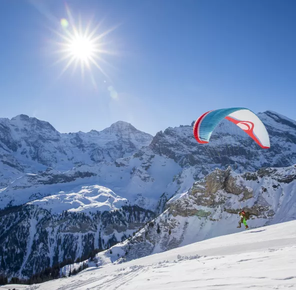 Paragliding Mürren