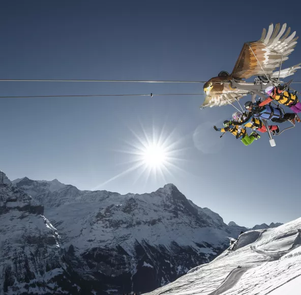 First Glider Winter