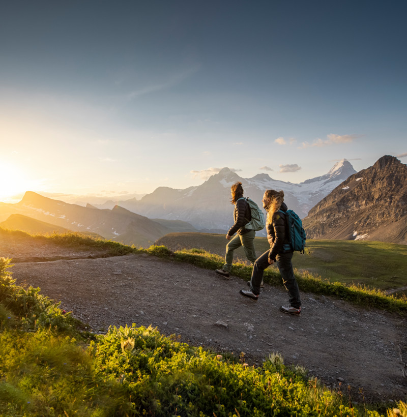 Wandern Faulhorn
