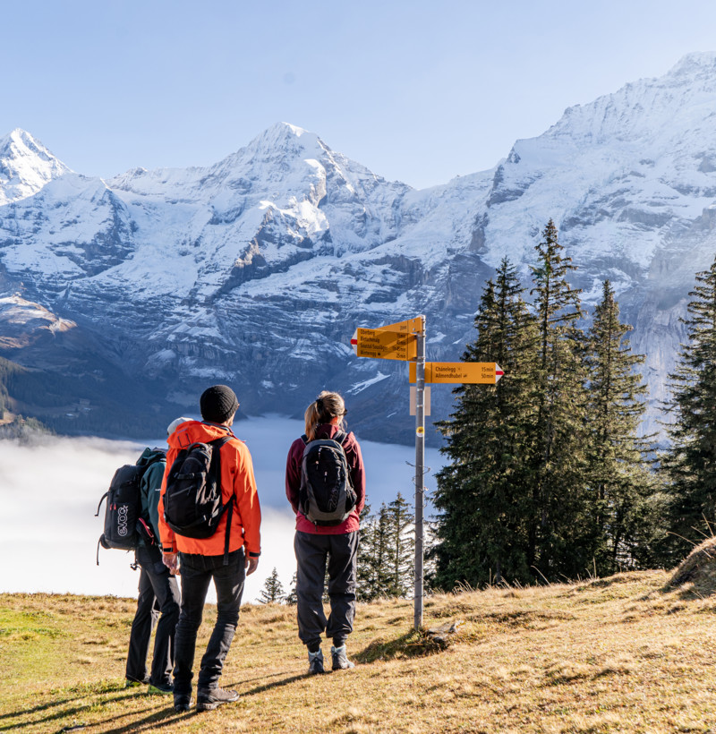 Wandern über dem Nebelmeer in Mürren