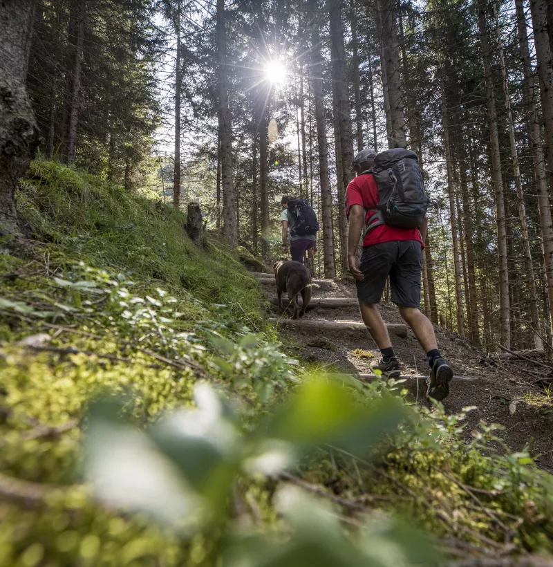 Wandern Wengen